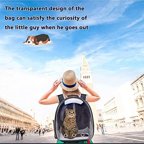 Küçük Kediler için evcil hayvan Sırt Çantası Taşıyıcı Köpekler-Köpek Taşıyıcı-Kedi Taşıyıcı-Havalandırmalı Tasarım, Toka Desteği-evcil