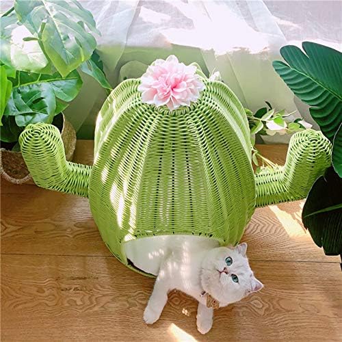 Yataklar Yaratıcı kedi Kumu Rattan pet yuva Serin Köpek Kulübesi Yaz aylarında Sevimli Botanik kedi Evi kolay temizlenebilir