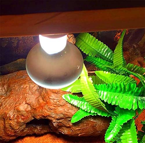 50 W UVA Basking Spot ısı lambası ampuller(2 Paket), 110 V Sürüngen Cıva Buharı Ampuller Sürüngen ve Amfibi Kullanımı için Yumuşak