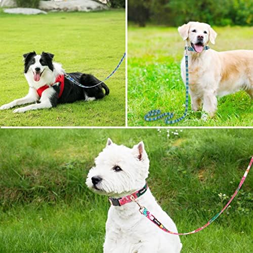 4 FT/5 FT Sevimli Köpek Tasması, Yürüyüş Eğitimi için Sağlam Baskılı Çiçek Desenli Kız Evcil Hayvan Tasmaları, Küçük, Orta ve