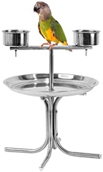 ZHANGJİNYİSHOP Kuş Kafesi Papağan Standı Paslanmaz Çelik Papağan Standı Disk Ekran Standı Amerika Papağanı Orta ve Büyük