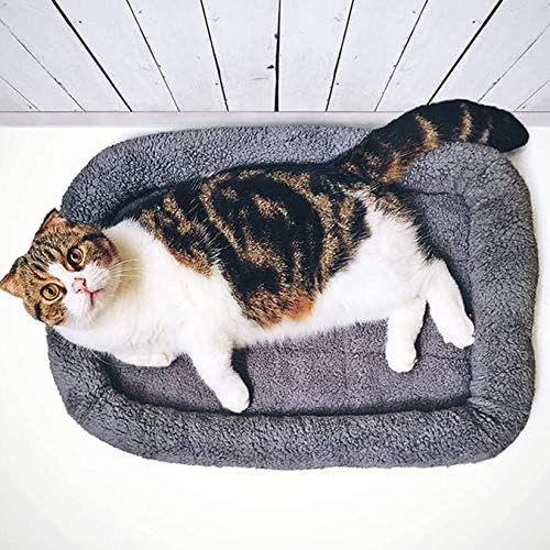 SDKFJ kedi yatakları Kedi Yatak Mat Pad Yıkanabilir termal battaniye Asmak Döngü Uyku Yastığı Kulübesi Yatak Pet Yavru Küçük