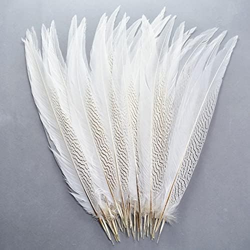 Jeniorr Doğal Gümüş Sülün Kuyruk Tüyleri 10-80 CM Beyaz Sülün Tüyleri El Sanatları için Gümüş Tavuk Tüyleri Plume Plumas
