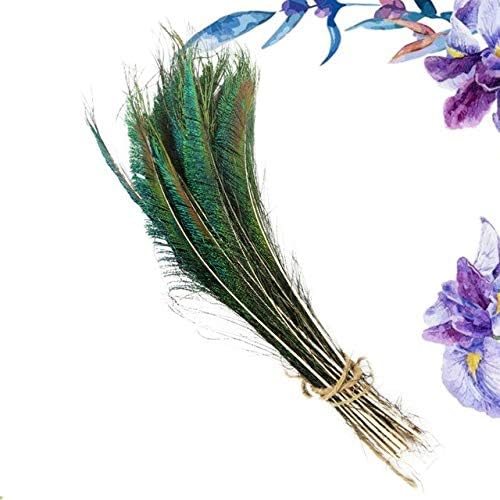 Doğal Feather - 100pcs Tavuskuşu Tüyü 25-35 cm Güzel Doğal Kaynağı için Şapka Craft - Gösterildiği Gibi- M