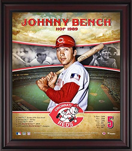 Johnny Bench Cincinnati Reds Çerçeveli 15 x 17 Hall of Fame Kariyer Profili-MLB Oyuncu Plaketleri ve Kolajları