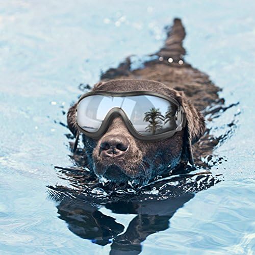 UEETEK Pet Köpek Kedi Doggles UV Koruyucu Rüzgar Geçirmez Güneş Gözlüğü Köpek yüzücü gözlükleri Gözlük Koruma ile Ayarlanabilir