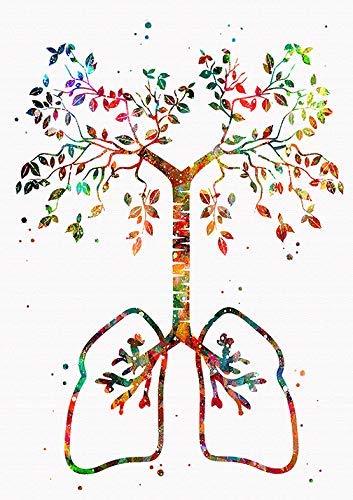 Akciğer Ağacı Suluboya Poster İnsan Anatomisi Sanat Baskı Tıbbi Ofis Dekor Bilim Breathe Dekor Tıp Pulmonologist Doktor Kliniği