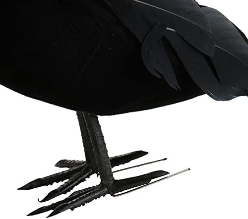 ZRSWV 5 Adet Siyah Kargalar Cadılar Bayramı Gerçekçi Tüylü Küçük Kargalar Siyah Kuşlar Kuzgunlar Sahne Cadılar Bayramı Süslemeleri