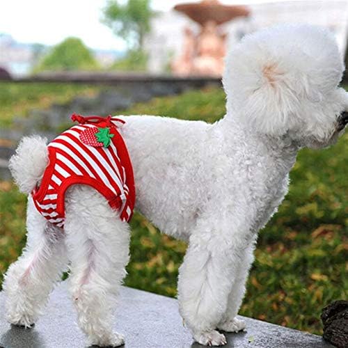 Sevimli Köpek Fizyolojik Pantolon Bezi Sıhhi Köpek Şort Külot Külot Küçük Orta Köpekler Bezi Pet Malzemeleri Iç Çamaşırı ZRONG