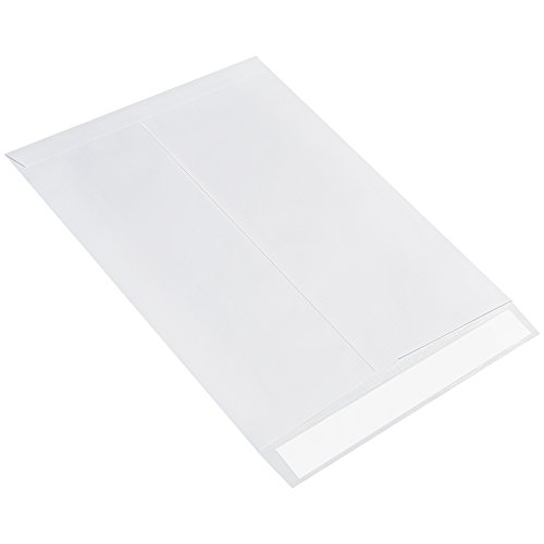 Ship-Lite Düz Zarf, 12 x 15 1/2, Beyaz, 100 / Kutu