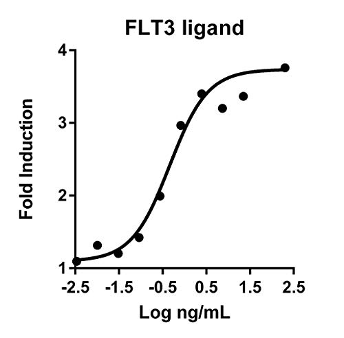 Humankine Rekombinant İnsan FLT3 Ligand 10ug