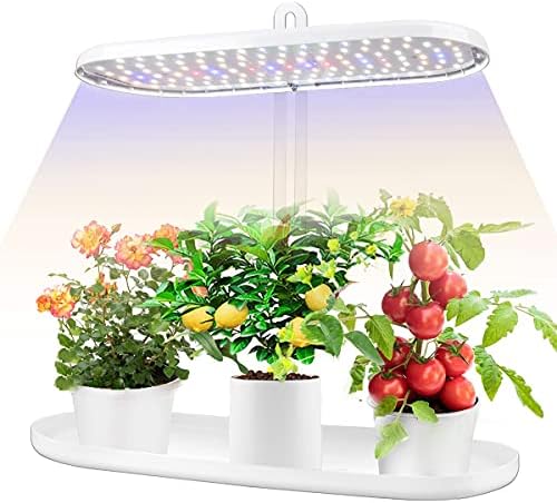 Kapalı bahçe Led büyümek ışık: Herb tohumları mutfak bahçe büyümek kiti-Ev bitki yetiştirme lambaları büyüyen sistemi ile Zamanlayıcı