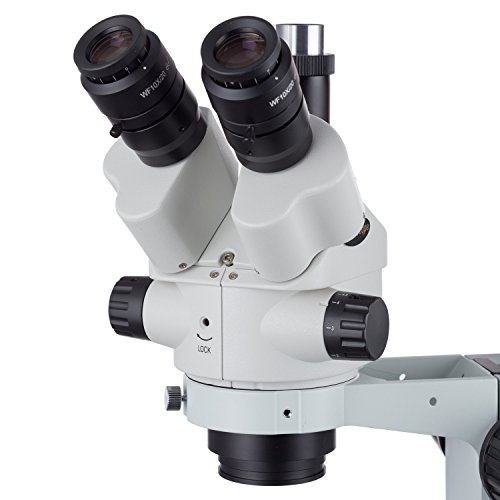 AmScope-SM-4NTP 7X-45X Simul-Odak Stereo Kilitlenebilir Zoom Mikroskop üzerinde Çift Kol Bom Standı